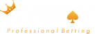 Betvoy logosu