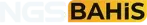 Ngsbahis logosu